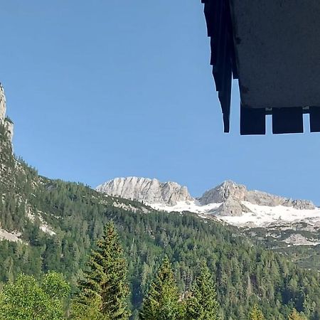 Appartamento Incantevole Con Ampio Balcone Sella Nevea Εξωτερικό φωτογραφία